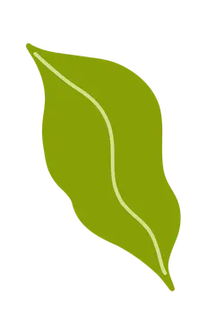 Leaf - Lossless PNG - life