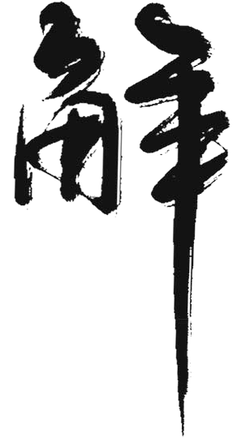 High Resolution PNG - night activity - Black Owl - Pic 2