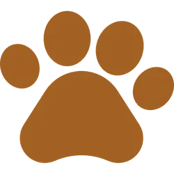 Paw Print - graphic - animal - Transparent Layer PNG