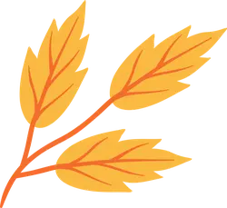 Autumn Leaves - autumn - Trending PNG