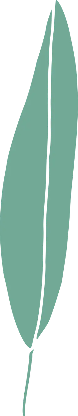 Leaf - Free Download PNG - High Download Count PNG