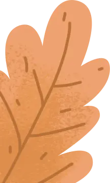 Oak Leaf - leaf - texture - PNG