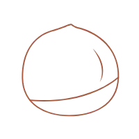 Peach - Designer's Pick PNG - red