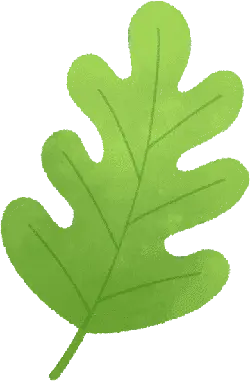 Oak Leaf - nature - Highly Rated PNG