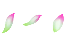 Three Petals - gradient - High Resolution PNG