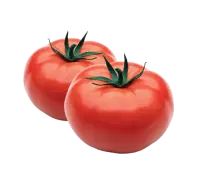 Tomato - vegetable - No Background PNG