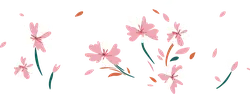Pink Flowers - simple - Transparent Layer PNG