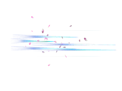 Pink Petals and Light Beams - light art - High Resolution PNG