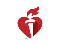 Heart and Torch Logo - logo - No Watermark PNG