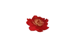 Red Flower - beautiful - High Download Count PNG