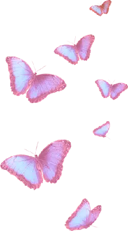 Butterfly - nature - butterfly - No Watermark PNG