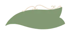 Green Leaf - nature - Highly Rated PNG
