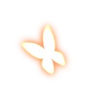 Butterfly - symmetrical - PNG Images