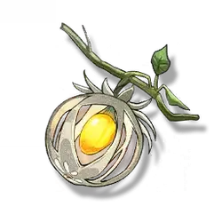 Vine Fruit - growth - Lossless PNG