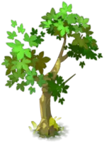 Tree - leaves - green - PNG Images
