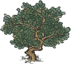 Tree - Fast Download PNG - High Download Count PNG