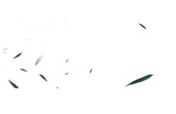 Green Leaves - peaceful - plant - No Background PNG