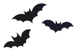 Bat - dark - No Watermark PNG