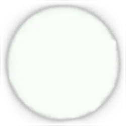 White Circle - white - Free Download PNG