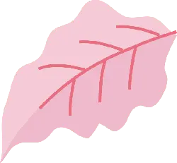 Pink Leaf - veins - No Background PNG