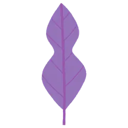 Purple Leaf - Designer's Pick PNG