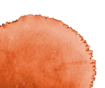 Orange Circular Object - orange - High Resolution PNG