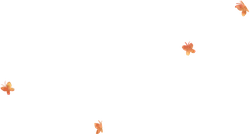 Butterfly - color - Transparent Background PNG