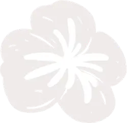 White Flower - simple - plant - PNG