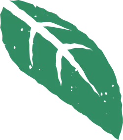 Leaf - leaf - Free Download PNG