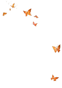 Orange Butterflies - flying - High Resolution PNG