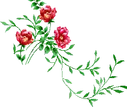 Three Roses - plant - PNG