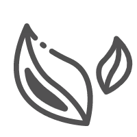 Leaf Pattern - nature - Recommended PNG