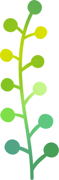 Green Vine - Designer's Pick PNG