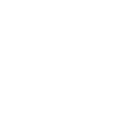 Cat - line drawing - PNG Images