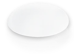 Gray Disc - metal - No Background PNG