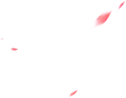 Pink Petals - lightweight - PNG Images