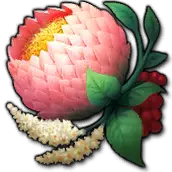 Peony Flower - fruit - High Resolution PNG