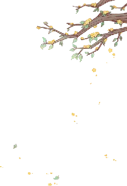 Yellow Flowering Branch - spring - High Resolution PNG