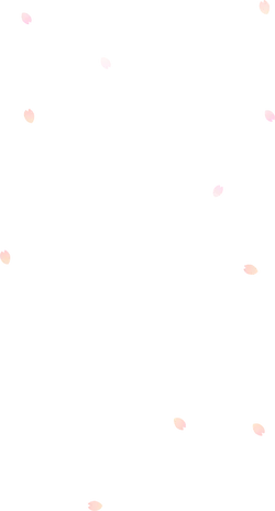 Falling Cherry Blossom Petals - Transparent Layer PNG