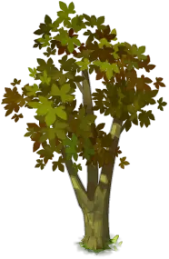 Autumn Tree - green - High Resolution PNG