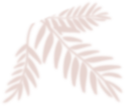 Palm Leaf - brown - No Background PNG