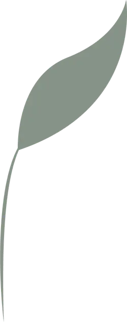 Leaf - PNG - Lossless PNG