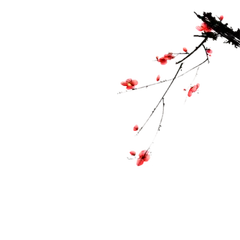 Plum Blossom - Designer Recommended PNG - Curated PNG