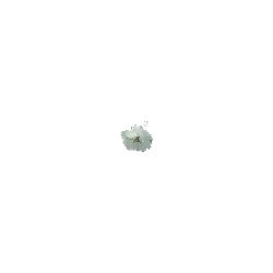 White Flower - beautiful - white - Lossless PNG