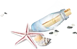 Starfish、 Shell and Message in a Bottle - nature - High Resolution PNG