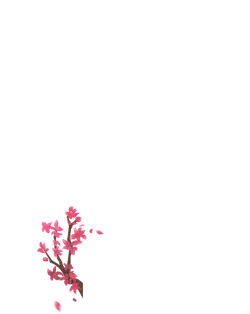 Pink Flowers - nature - spring - Free Download PNG