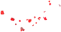 Red Petals - Designer's Pick PNG - petal