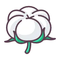 Cotton - white - plant - PNG Images