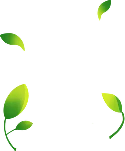 Green Leaves - environmental protection - vitality - Free Download PNG