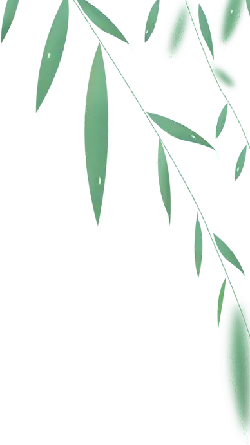 Green Leaves - growth - branch - High Resolution PNG
